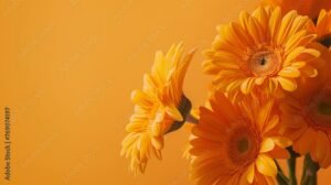 Flores amarelas sobre fundo monocromático, ideal para projetos de artes gráficas e design criativo
